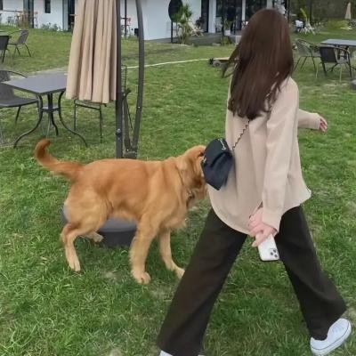 白云飘飘的年代